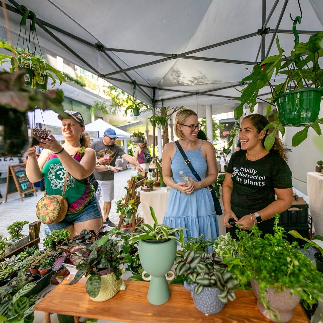 Thornton Park District Night Market