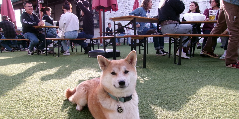Event image 1
