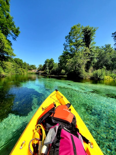 Silver Springs