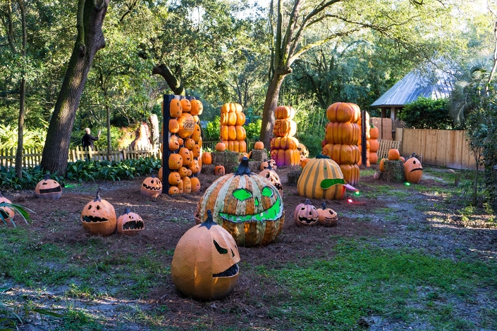 Haunted Tour St. Augustine – Creepy Crawl Haunted Pub Tour at Ghost Tours of St. Augustine