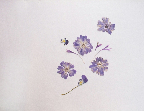 Create Your Own Flower Pressed Bookmark at CandleLit Books, Jacksonville – DIY Bookmark Workshop