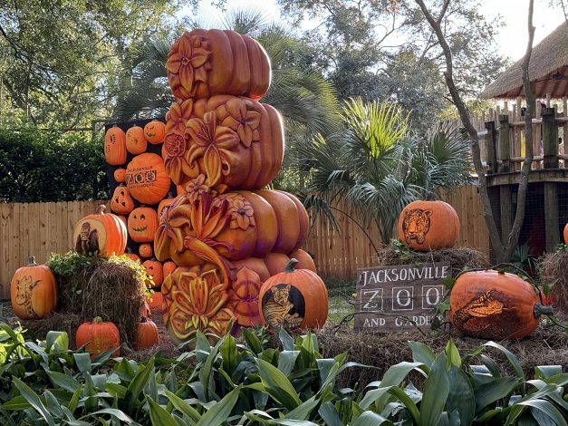 Spooky Halloween Event at Flowers of Jacksonville, Jacksonville – Seasonal Halloween Night