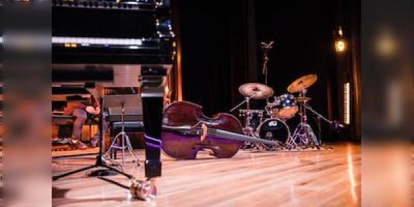 Live performance in Dallas - April 2025