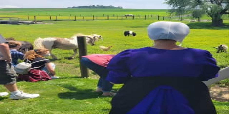 Unation Authentic Tour & Meal with the Amish! - UNATION