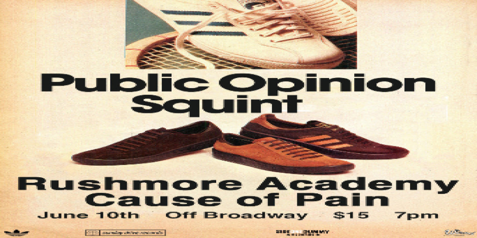Public Opinion