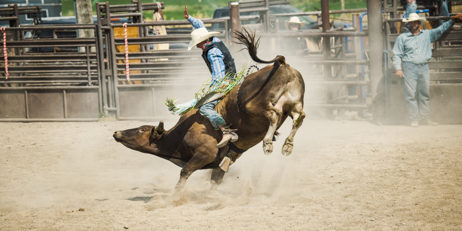 Valley View Rodeo