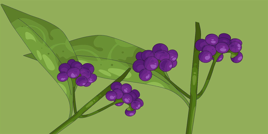 Event cover