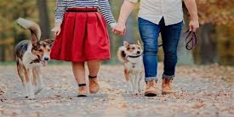 Speed Dating With My Doggie Ages 40-55 [ONLY 1 WOMAN'S TICKET LEFT]