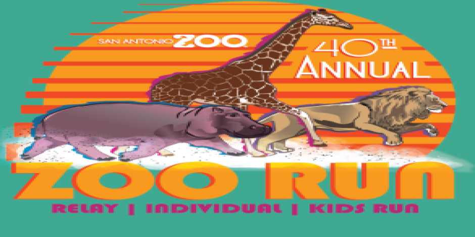 Kids  Zoo Run Kids l Zoo Run
