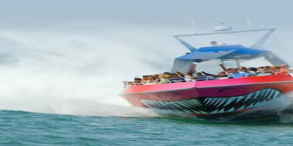 Boston Codzilla High-Speed Thrill Boat Ride - UNATION