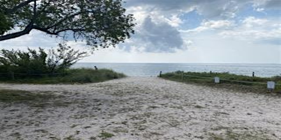 Restore The Shore
