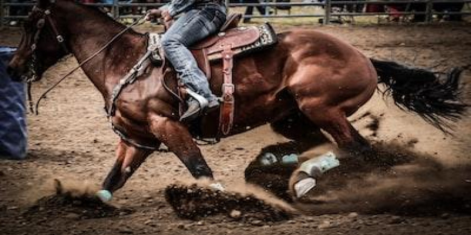 PBR Team Series Championship - Saturday Pass Only