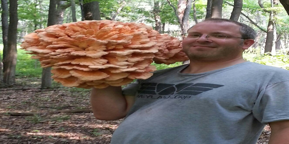Eat the Neighborhood Foraging Walk and Lunch: Carnivore @ Carnival Oak Park