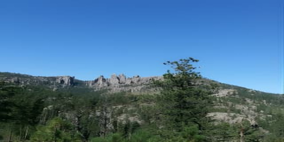 Bus Tour of Mount Rushmore and the Black Hills