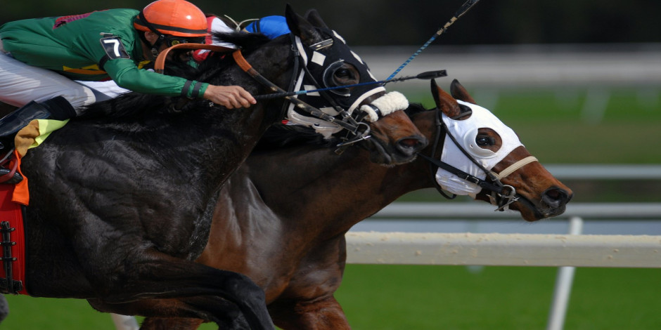 Retama Park Live