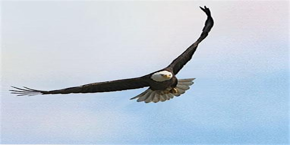 As Soul I Am Free—ECK Light and Sound Service