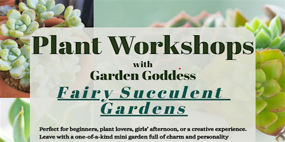 Plant Workshop @ Tarpon River Brewing