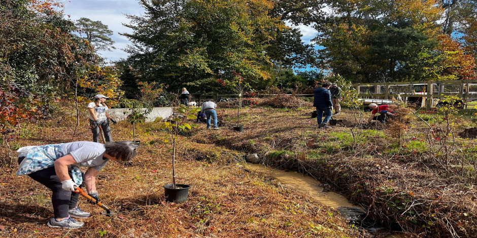 Volunteer in the Eco-Corridor: July 8