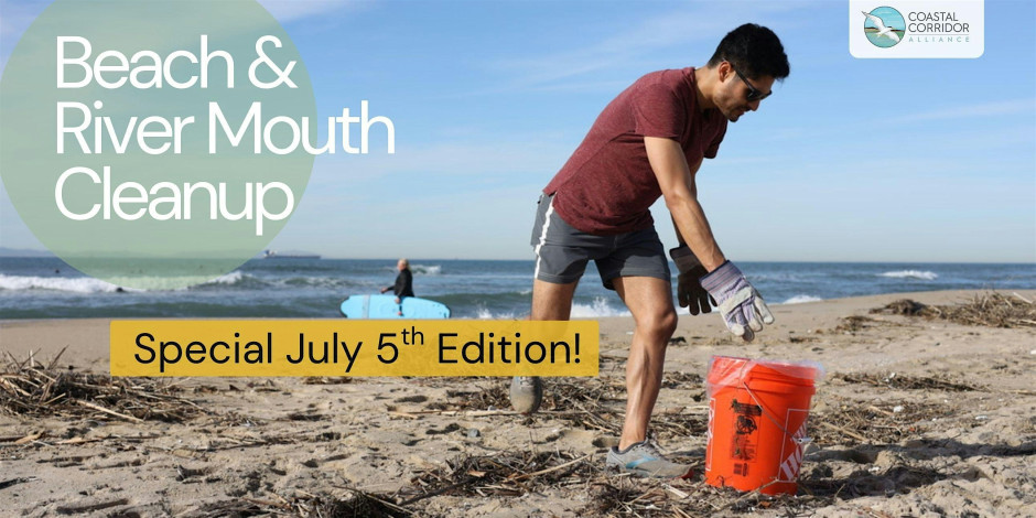 Special Beach Cleanup, July 5th | Limpieza de Playa Julio 5