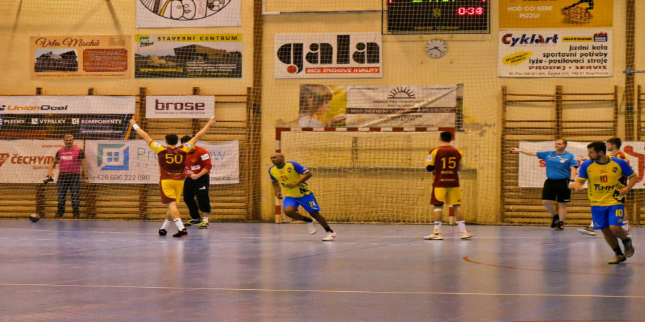 Pro Handball - Day 8