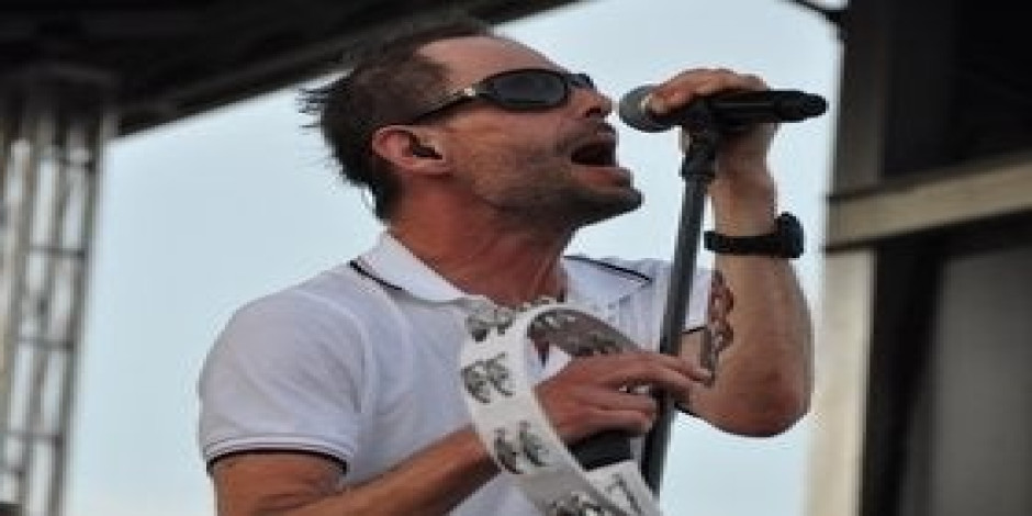 Gin Blossoms