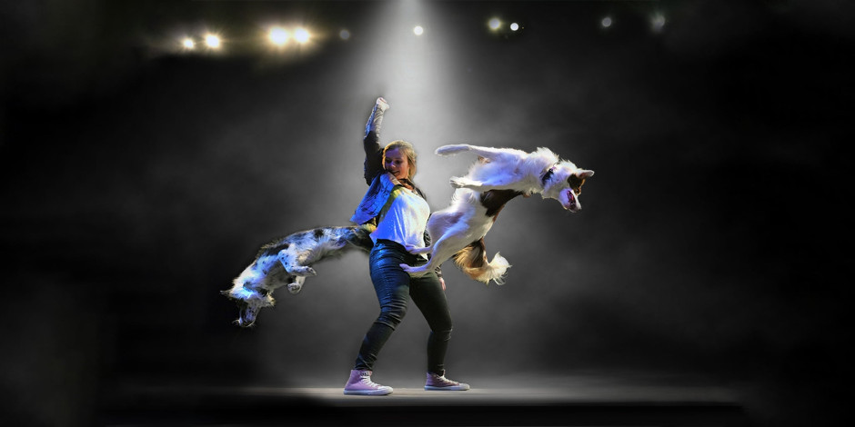 Mutts Gone Nuts: Mutts, Magic and Mayhem!