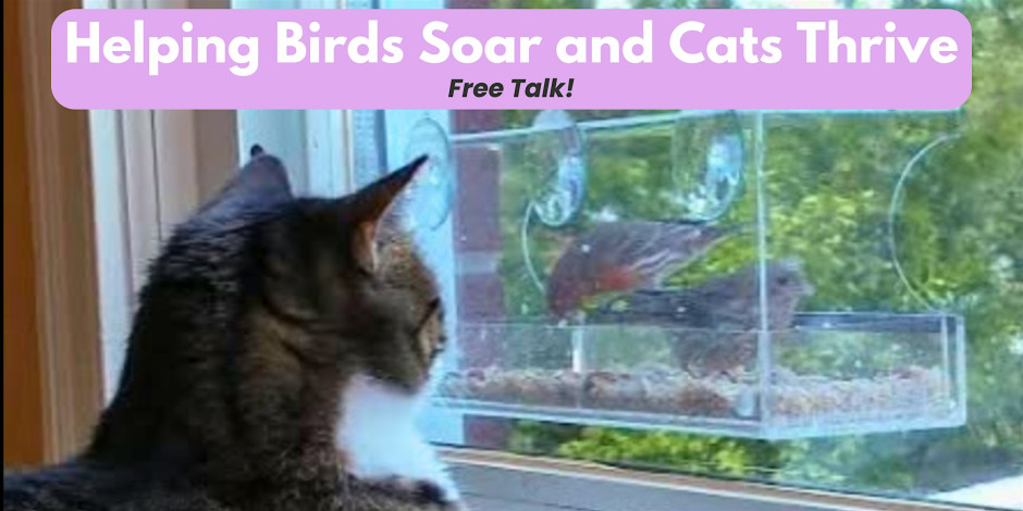 FREE Talk: "Helping Birds Soar and Cats Thrive"