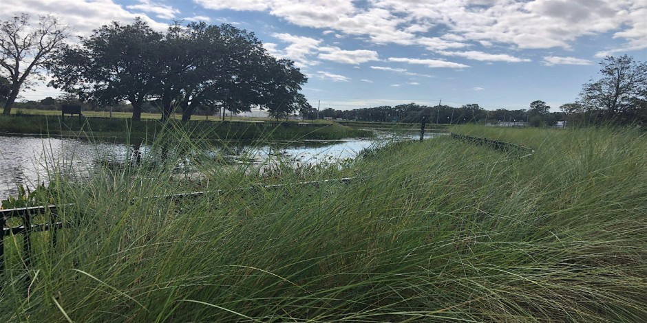 10-7-2026 Adopt-A-Pond