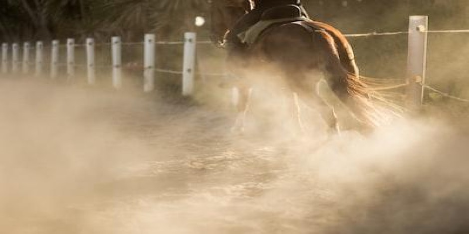 PBR - Professional Bull Riders