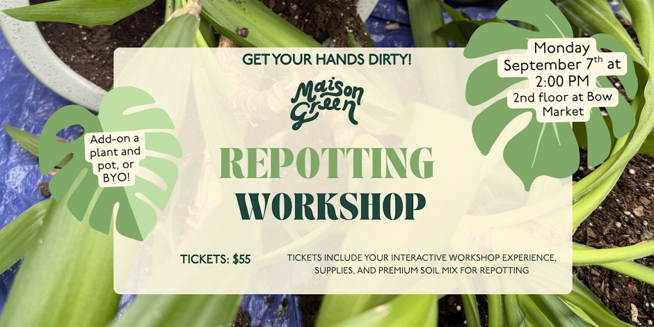 Repotting Workshop