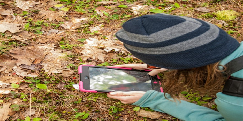 Bio-blitz in the Park: FREE Citizen Science Opportunity (All Ages)
