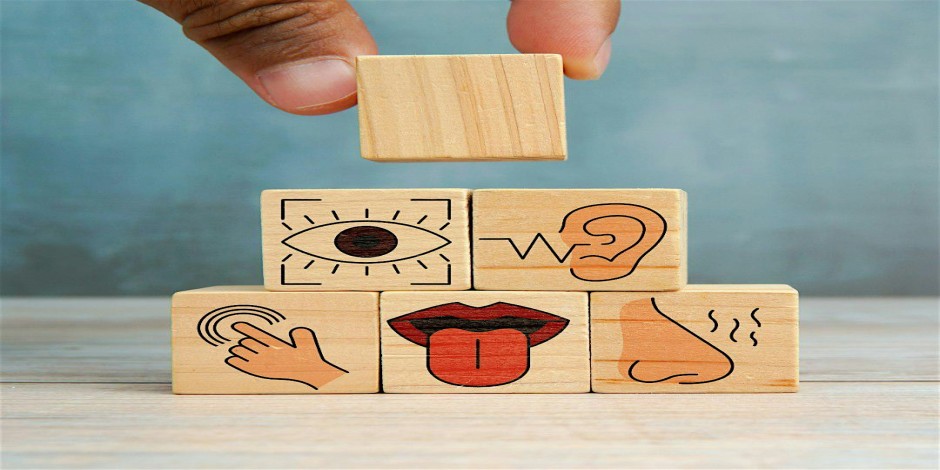 Tiny Tots: My Five Senses! (Ages 3-5), $4 per child upon arrival