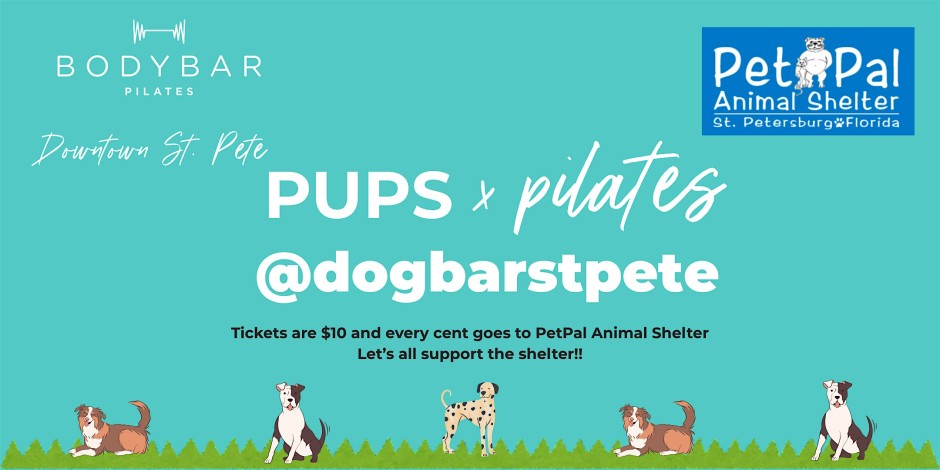 Pups and Pilates @Dog Bar St. Pete