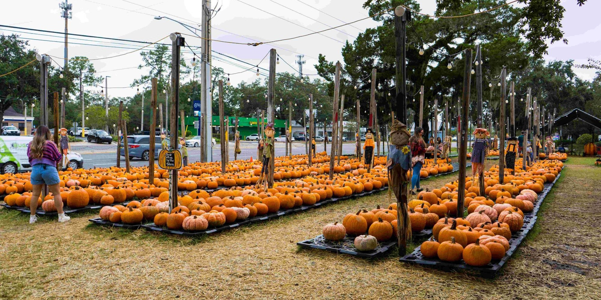 Event_Banner_Image