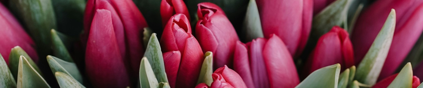 Event_Banner_Image