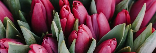 Event_Banner_Image