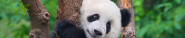 Event_Banner_Image