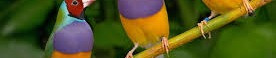 Event_Banner_Image