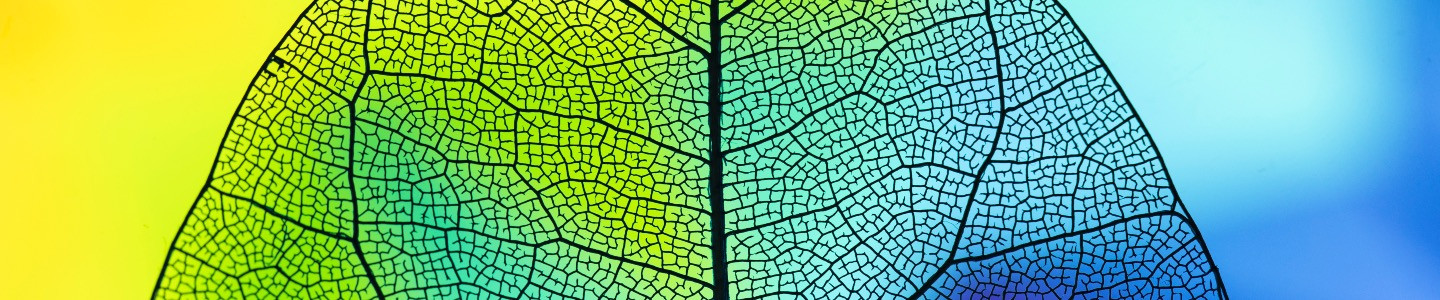 Event_Banner_Image