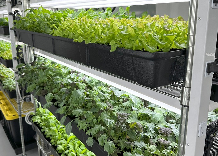 Business image 5
